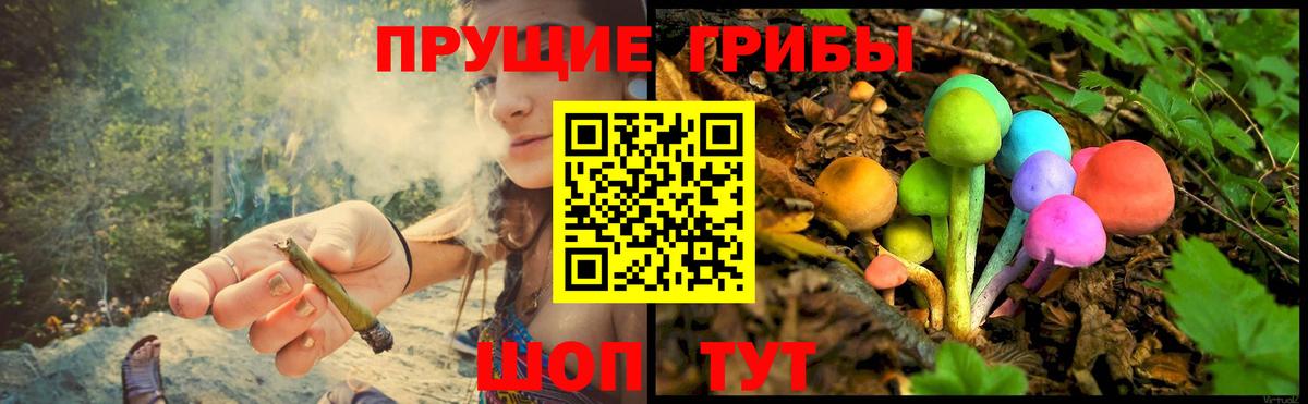 Псилоцибиновые грибы мухоморы Миллерово